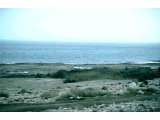 Dead sea shoreline